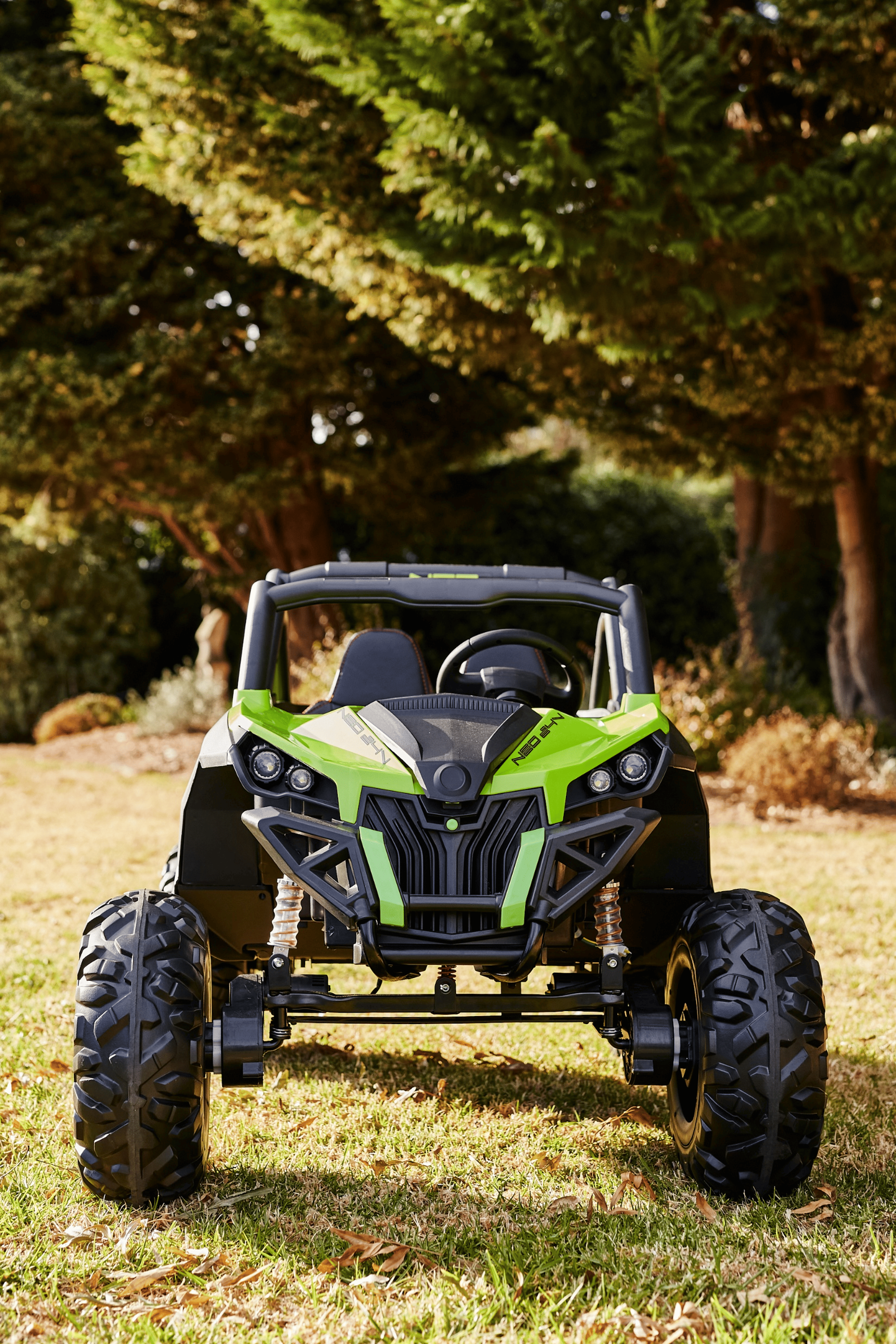 The Neo 24v 4wd Off Road UTV Ride On Buggy