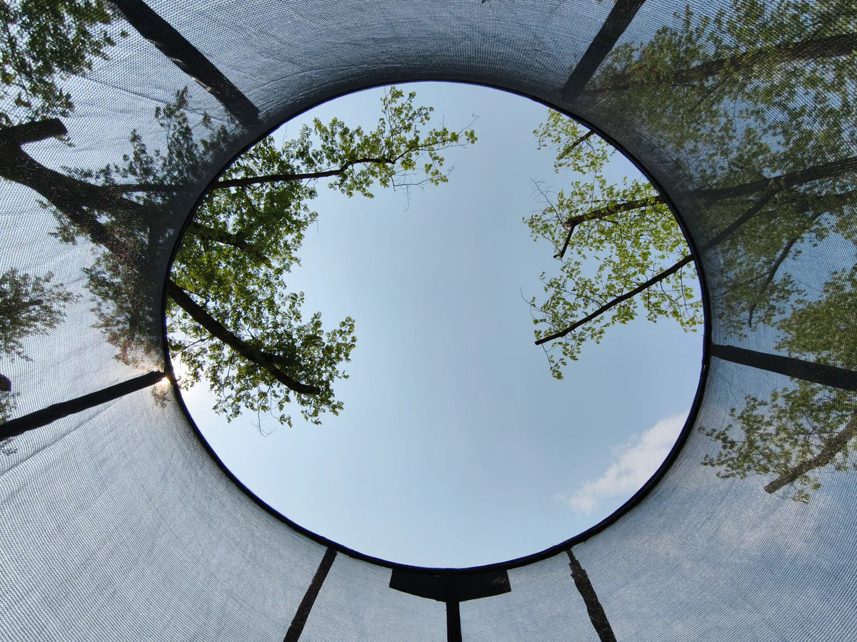 Circular view of trees from inside a trampoline with safety netting.