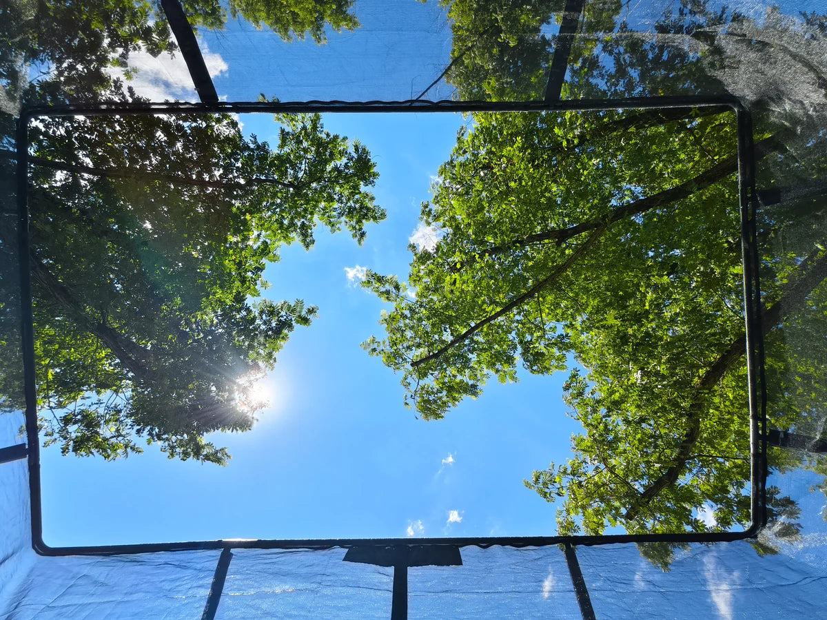 Reflective surface with trees and blue sky visible